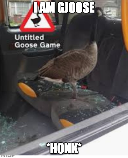 The Goose | I AM GJOOSE; *HONK* | image tagged in g o o s e | made w/ Imgflip meme maker