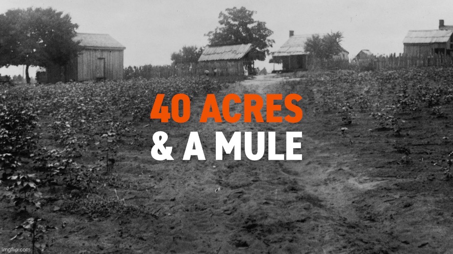 40 acres and a mule. It's what we promised. The modern equivalent of it, with interest, is what they should get. | image tagged in slavery,slaves,racism,america,historical meme,historical | made w/ Imgflip meme maker