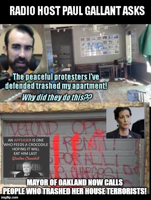 These 2 APPEASER Democrats are now having some doubt in "Peaceful Protesters" The Crocodile bit them! | image tagged in stupid people,stupid liberals,stupidity,democrats | made w/ Imgflip meme maker