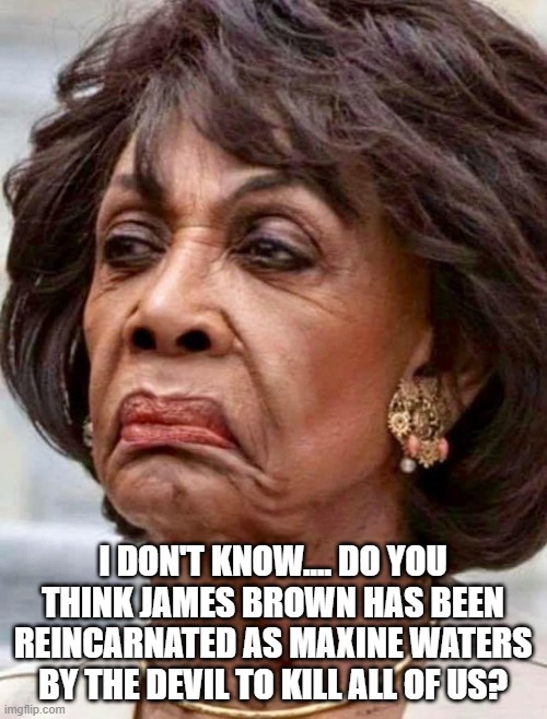 Maxine Waters | I DON'T KNOW.... DO YOU THINK JAMES BROWN HAS BEEN REINCARNATED AS MAXINE WATERS BY THE DEVIL TO KILL ALL OF US? | image tagged in maxine waters | made w/ Imgflip meme maker