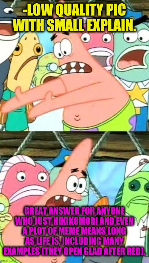 Put It Somewhere Else Patrick Meme | -LOW QUALITY PIC WITH SMALL EXPLAIN. GREAT ANSWER FOR ANYONE WHO JUST HIKIKOMORI AND EVEN A PLOT OF MEME MEANS LONG AS LIFE IS, INCLUDING MA | image tagged in memes,put it somewhere else patrick | made w/ Imgflip meme maker