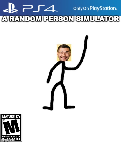 PS4 case | A RANDOM PERSON SIMULATOR | image tagged in ps4 case | made w/ Imgflip meme maker