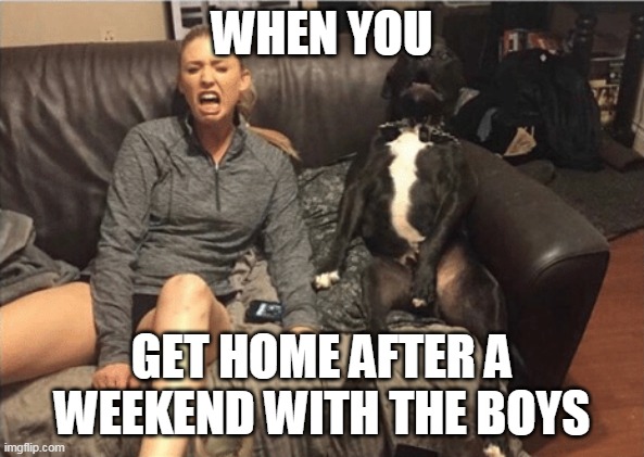 fun | WHEN YOU; GET HOME AFTER A WEEKEND WITH THE BOYS | image tagged in funny | made w/ Imgflip meme maker