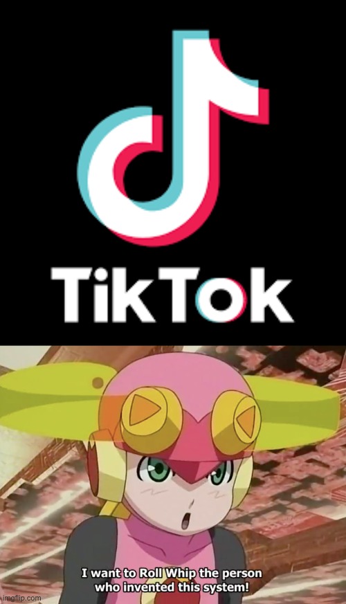 Screw Tiktok | image tagged in roll whip | made w/ Imgflip meme maker