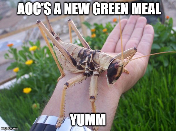 A green new meal | AOC'S A NEW GREEN MEAL; YUMM | image tagged in meme | made w/ Imgflip meme maker