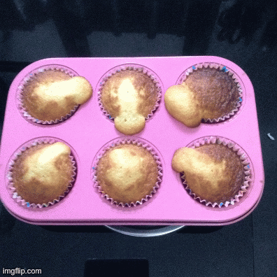 My muffins | image tagged in gifs,food | made w/ Imgflip images-to-gif maker