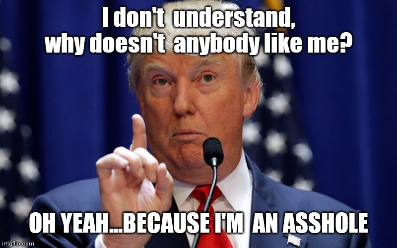 Donald Trump | I don't  understand, why doesn't  anybody like me? OH YEAH...BECAUSE I'M  AN ASSHOLE | image tagged in donald trump | made w/ Imgflip meme maker