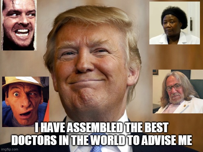 trump | I HAVE ASSEMBLED THE BEST DOCTORS IN THE WORLD TO ADVISE ME | image tagged in donald trump | made w/ Imgflip meme maker