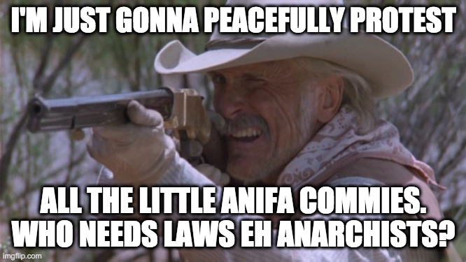 Anarchy Rules | I'M JUST GONNA PEACEFULLY PROTEST; ALL THE LITTLE ANIFA COMMIES. WHO NEEDS LAWS EH ANARCHISTS? | image tagged in gus rifle | made w/ Imgflip meme maker