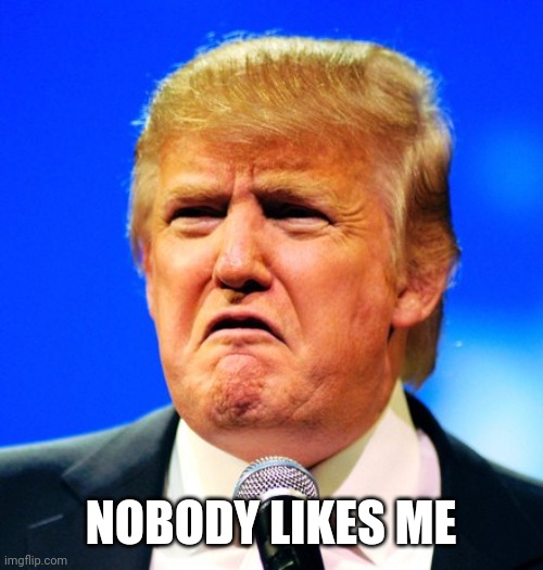 Sad trump | NOBODY LIKES ME | image tagged in sad trump | made w/ Imgflip meme maker