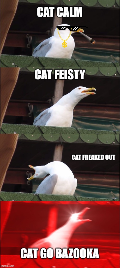 Inhaling Seagull Meme |  CAT CALM; CAT FEISTY; CAT FREAKED OUT; CAT GO BAZOOKA | image tagged in memes,inhaling seagull | made w/ Imgflip meme maker
