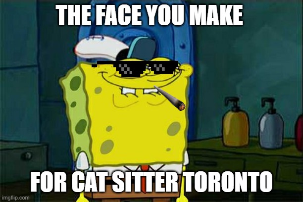 Don't You Squidward Meme | THE FACE YOU MAKE; FOR CAT SITTER TORONTO | image tagged in memes,don't you squidward | made w/ Imgflip meme maker