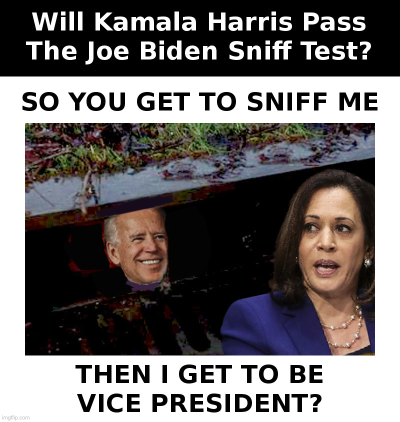 Will Kamala Harris Pass The Joe Biden Sniff Test? | image tagged in joe biden,kamala harris,sniff,test,democrats,presidential candidates | made w/ Imgflip meme maker