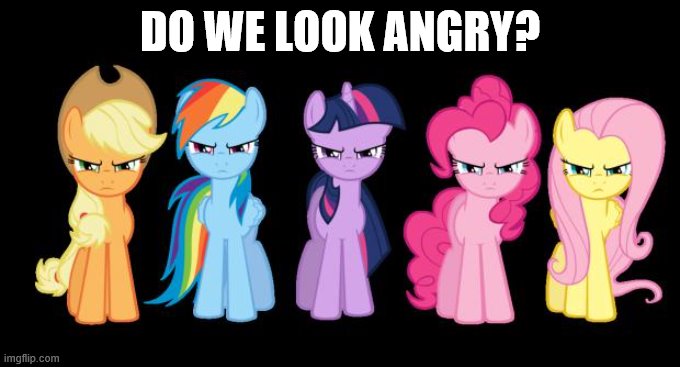 angry pony 291 | DO WE LOOK ANGRY? | image tagged in angry pony 291 | made w/ Imgflip meme maker