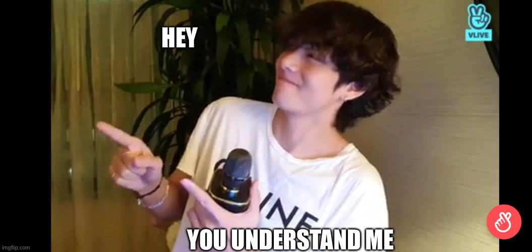Tae point | HEY; YOU UNDERSTAND ME | image tagged in tae point | made w/ Imgflip meme maker
