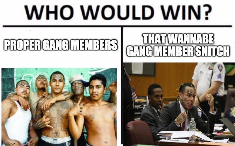 Who Would Win? | PROPER GANG MEMBERS; THAT WANNABE GANG MEMBER SNITCH | image tagged in memes,who would win | made w/ Imgflip meme maker