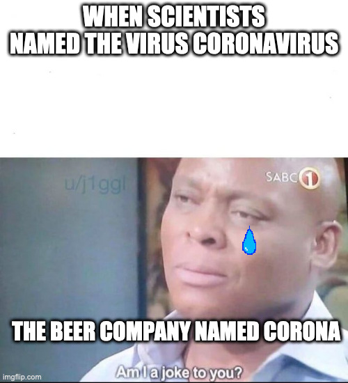 corona beer | WHEN SCIENTISTS NAMED THE VIRUS CORONAVIRUS; THE BEER COMPANY NAMED CORONA | image tagged in am i a joke to you | made w/ Imgflip meme maker