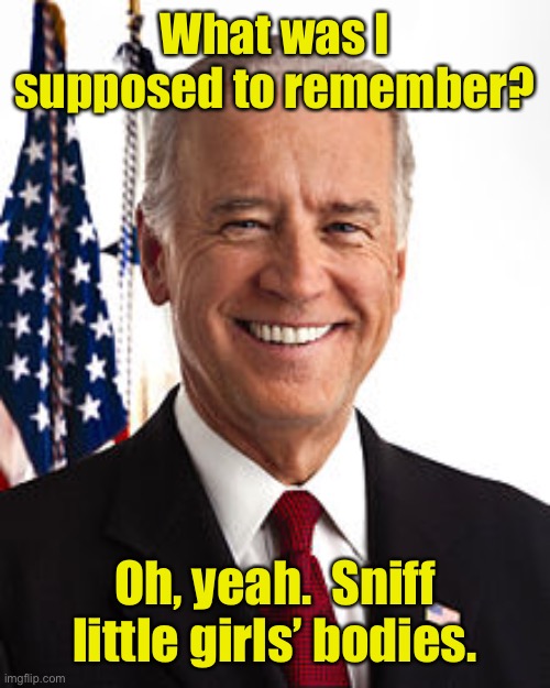 Joe Biden Meme | What was I supposed to remember? Oh, yeah.  Sniff little girls’ bodies. | image tagged in memes,joe biden | made w/ Imgflip meme maker