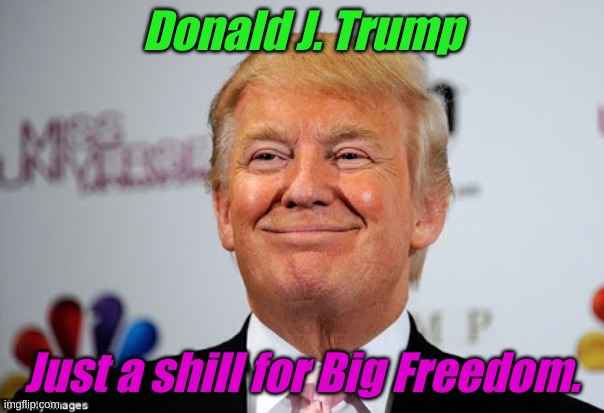 But he's not a shill for big government, or big media or Big Marxism or........ | Donald J. Trump; Just a shill for Big Freedom. | image tagged in donald trump approves | made w/ Imgflip meme maker