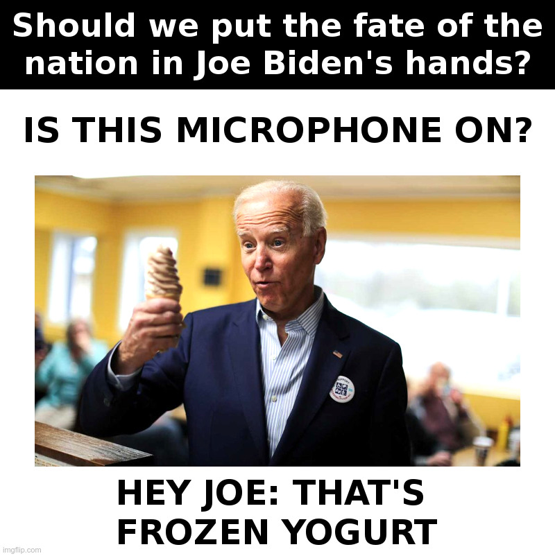 Should we put the fate of the nation in Joe Biden's hands? | image tagged in joe biden,microphone,yogurt,democrats,presidential candidates,presidential race | made w/ Imgflip meme maker