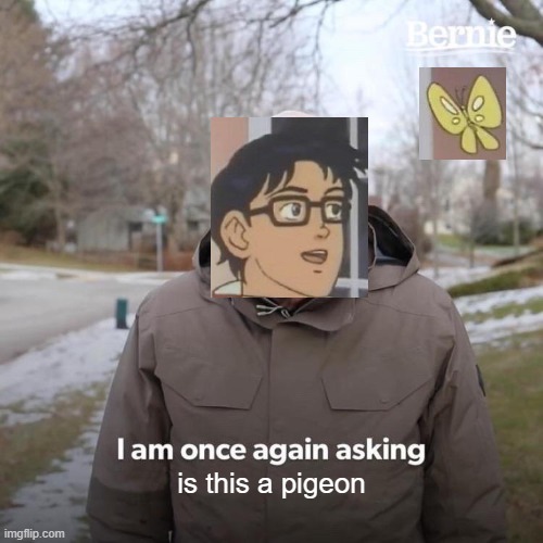 is this a pigeon | is this a pigeon | image tagged in memes,bernie i am once again asking for your support | made w/ Imgflip meme maker