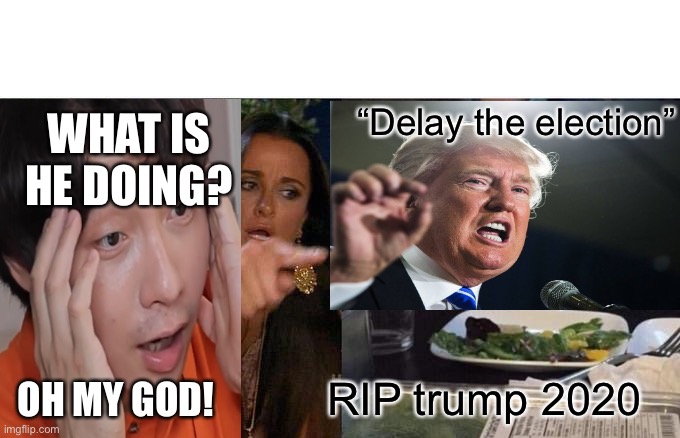 RIP Trump 2020 | “Delay the election”; WHAT IS HE DOING? RIP trump 2020; OH MY GOD! | image tagged in memes,woman yelling at cat,uncle roger,donald trump,election 2020 | made w/ Imgflip meme maker