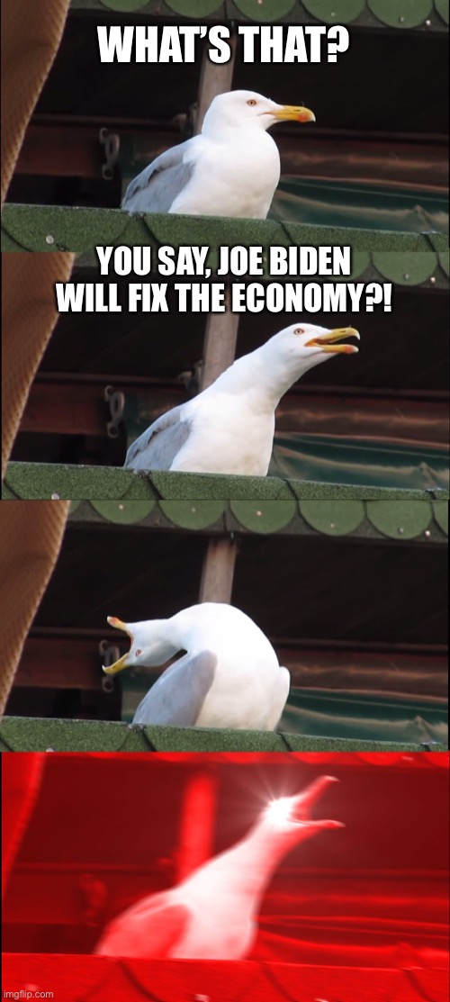 3 yr old meme | WHAT’S THAT? YOU SAY, JOE BIDEN WILL FIX THE ECONOMY?! | image tagged in memes,inhaling seagull | made w/ Imgflip meme maker