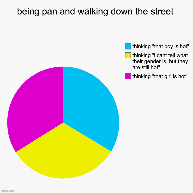 whenever i walk down the street | being pan and walking down the street | thinking "that girl is hot", thinking "i cant tell what their gender is, but they are still hot", th | image tagged in charts,pie charts,pansexual,lgbtq | made w/ Imgflip chart maker