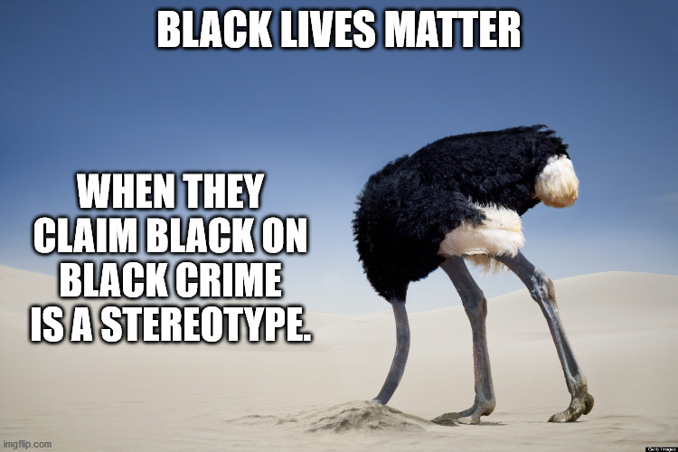 Ostrich head in sand | BLACK LIVES MATTER WHEN THEY CLAIM BLACK ON BLACK CRIME IS A STEREOTYPE. | image tagged in ostrich head in sand | made w/ Imgflip meme maker