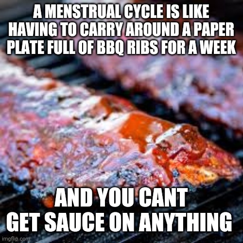 Some lady told me this at the store | A MENSTRUAL CYCLE IS LIKE HAVING TO CARRY AROUND A PAPER PLATE FULL OF BBQ RIBS FOR A WEEK; AND YOU CANT GET SAUCE ON ANYTHING | image tagged in funny memes | made w/ Imgflip meme maker