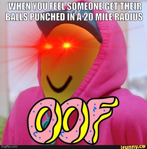 I can feel it from here | WHEN YOU FEEL SOMEONE GET THEIR BALLS PUNCHED IN A 20 MILE RADIUS | image tagged in memes,dank memes,oof,roblox oof,roblox,oof size large | made w/ Imgflip meme maker