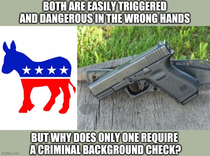 No waiting period either! | BOTH ARE EASILY TRIGGERED
AND DANGEROUS IN THE WRONG HANDS; BUT WHY DOES ONLY ONE REQUIRE
 A CRIMINAL BACKGROUND CHECK? | image tagged in glock 23,democrats,corruption,criminals,leftists,trump 2020 | made w/ Imgflip meme maker