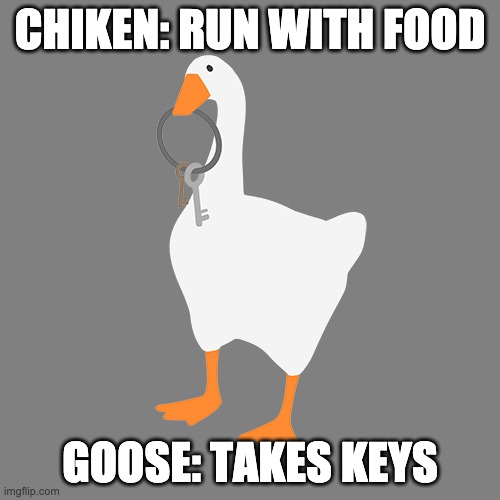 The robber | CHIKEN: RUN WITH FOOD; GOOSE: TAKES KEYS | image tagged in untitled goose game | made w/ Imgflip meme maker