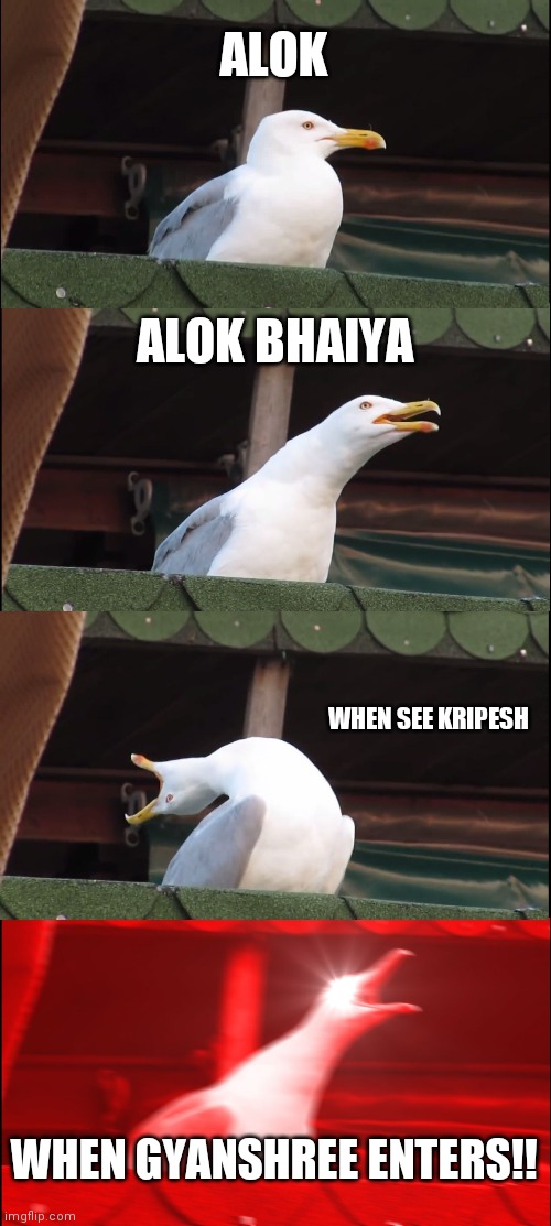 Inhaling Seagull | ALOK; ALOK BHAIYA; WHEN SEE KRIPESH; WHEN GYANSHREE ENTERS!! | image tagged in memes,inhaling seagull | made w/ Imgflip meme maker