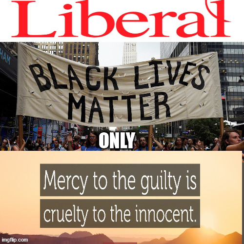 Liberal "black" Lives Matter....ONLY | ONLY | image tagged in just us,mercy to the guilty,cruelty to the innocent,perversion,truth | made w/ Imgflip meme maker