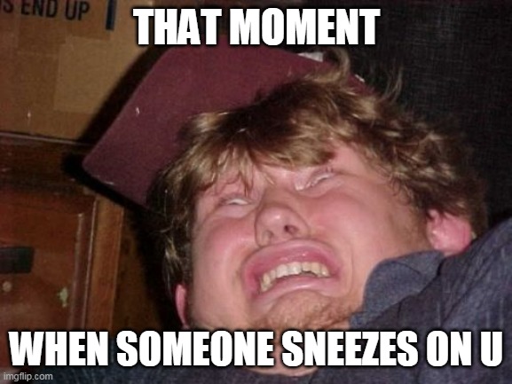 WTF Meme |  THAT MOMENT; WHEN SOMEONE SNEEZES ON U | image tagged in memes,wtf | made w/ Imgflip meme maker