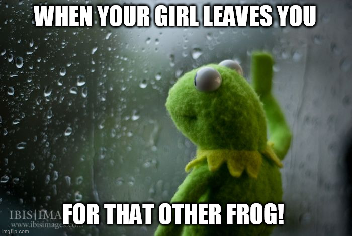 ditched | WHEN YOUR GIRL LEAVES YOU; FOR THAT OTHER FROG! | image tagged in kermit window | made w/ Imgflip meme maker