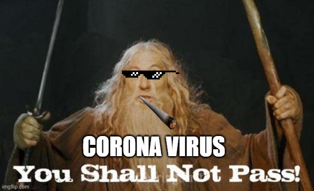 gandalf you shall not pass | CORONA VIRUS | image tagged in gandalf you shall not pass | made w/ Imgflip meme maker