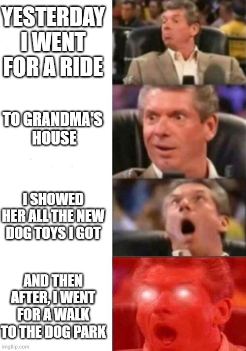Mr. McMahon reaction | YESTERDAY I WENT FOR A RIDE; TO GRANDMA'S 
HOUSE; I SHOWED HER ALL THE NEW DOG TOYS I GOT; AND THEN AFTER, I WENT FOR A WALK TO THE DOG PARK | image tagged in mr mcmahon reaction | made w/ Imgflip meme maker