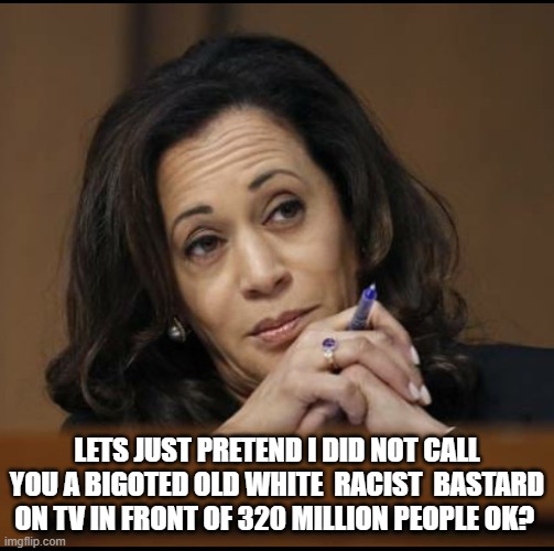 Kamala Harris  | LETS JUST PRETEND I DID NOT CALL YOU A BIGOTED OLD WHITE  RACIST  BASTARD ON TV IN FRONT OF 320 MILLION PEOPLE OK? | image tagged in kamala harris | made w/ Imgflip meme maker