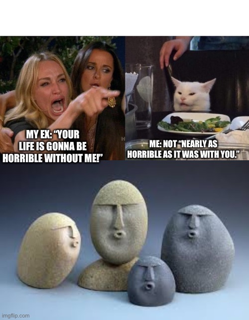 Yeah it really happened | ME: NOT “NEARLY AS HORRIBLE AS IT WAS WITH YOU.”; MY EX: “YOUR LIFE IS GONNA BE HORRIBLE WITHOUT ME!” | image tagged in memes,woman yelling at cat,oof rocks,ex | made w/ Imgflip meme maker