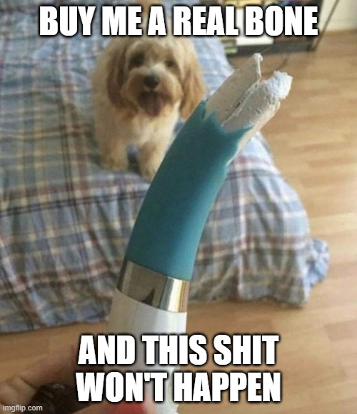 Not THAT kind of bone |  BUY ME A REAL BONE; AND THIS SHIT WON'T HAPPEN | image tagged in bad pun dog,bone,vibrator,chew | made w/ Imgflip meme maker