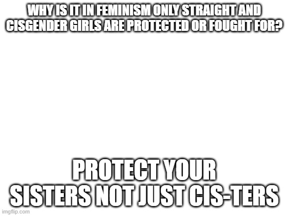Blank White Template | WHY IS IT IN FEMINISM ONLY STRAIGHT AND CISGENDER GIRLS ARE PROTECTED OR FOUGHT FOR? PROTECT YOUR SISTERS NOT JUST CIS-TERS | image tagged in blank white template | made w/ Imgflip meme maker