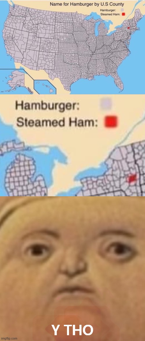 fat pope's message for the Albany, NY area | Y THO | image tagged in y tho,hamburger,hamburgers,new york,maps,why tho | made w/ Imgflip meme maker