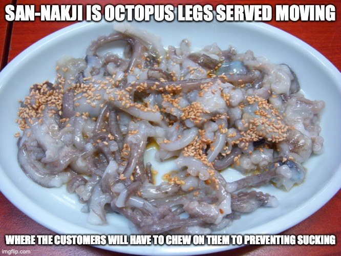 San-Nakji | SAN-NAKJI IS OCTOPUS LEGS SERVED MOVING; WHERE THE CUSTOMERS WILL HAVE TO CHEW ON THEM TO PREVENTING SUCKING | image tagged in food,memes | made w/ Imgflip meme maker