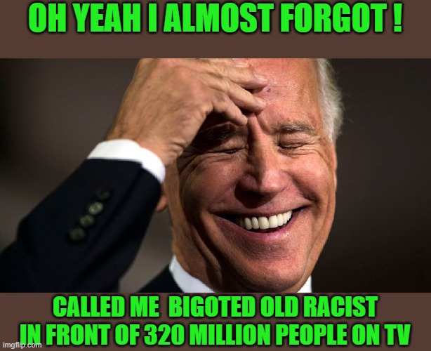 OH YEAH I ALMOST FORGOT ! CALLED ME  BIGOTED OLD RACIST IN FRONT OF 320 MILLION PEOPLE ON TV | made w/ Imgflip meme maker