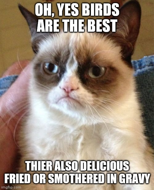 Grumpy Cat Meme | OH, YES BIRDS ARE THE BEST THIER ALSO DELICIOUS FRIED OR SMOTHERED IN GRAVY | image tagged in memes,grumpy cat | made w/ Imgflip meme maker