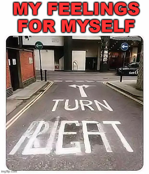 road sign | MY FEELINGS FOR MYSELF | image tagged in road sign | made w/ Imgflip meme maker