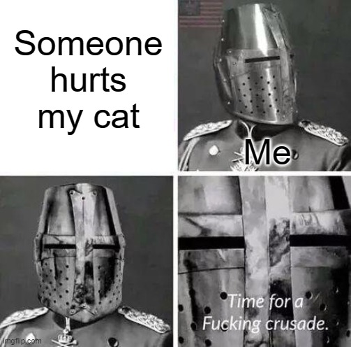 I like cats | Someone hurts my cat; Me | image tagged in time for a crusade | made w/ Imgflip meme maker