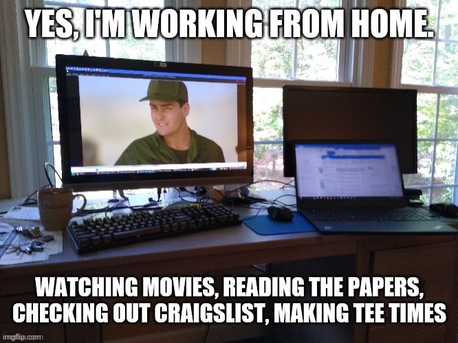 Working From Home | image tagged in covid,coronavirus,working from home,the office,job,loafing | made w/ Imgflip meme maker